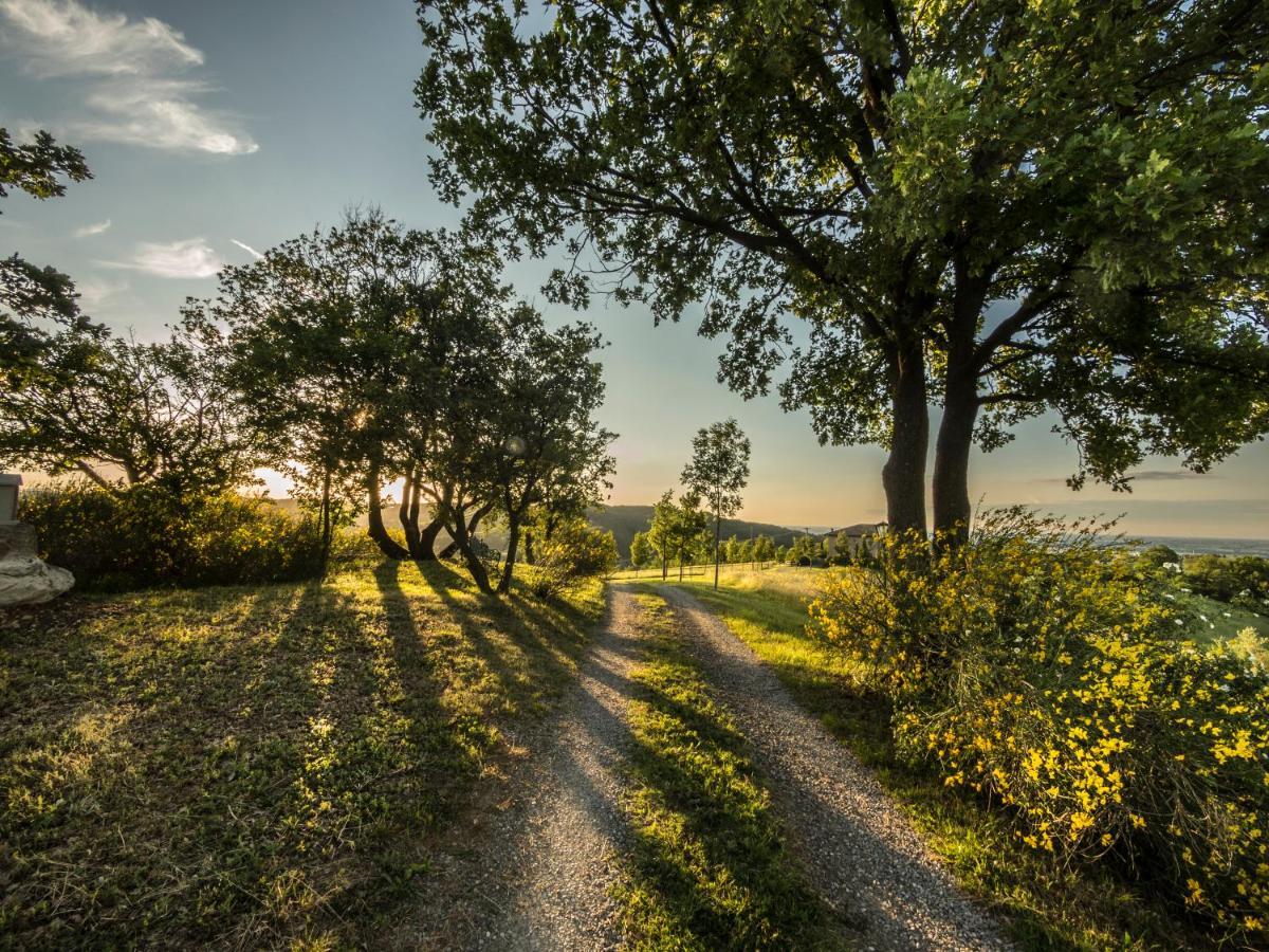 Parco Di Montebello Quattro Castella Экстерьер фото